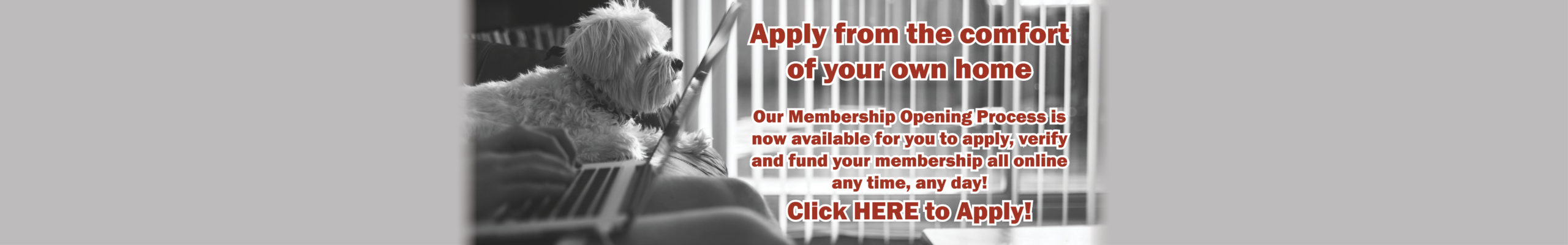 Great Northern Insurance Pay Bill / Insurance Agent Makes